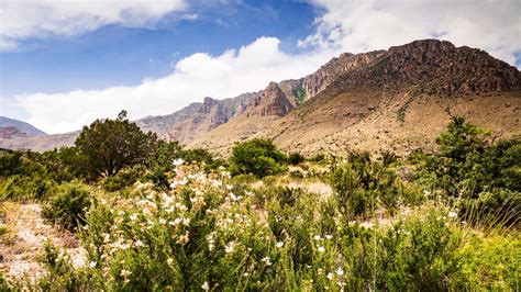 Guadalupe Mountains National Park Travel Guide - Parks & Trips