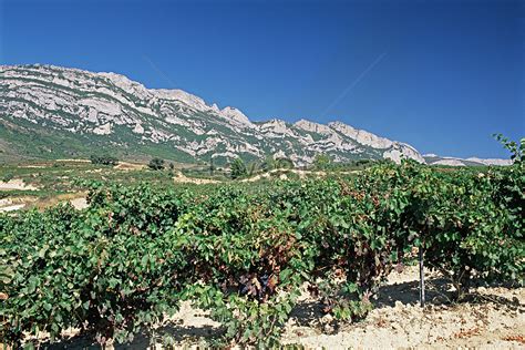 La Rioja Wine Region Picture And HD Photos | Free Download On Lovepik