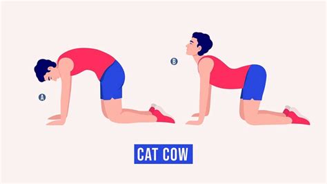 Marjariasana: Health Benefits Of Cat-Cow Pose and How To Practise It ...