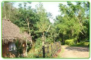 Resorts In Nelliyampathy (2023) | Updated Deals, Latest Reviews, Photos