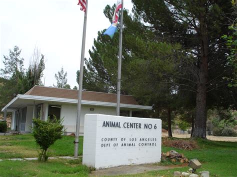 Castaic Animal Care Center - Castaic is Dog Friendly