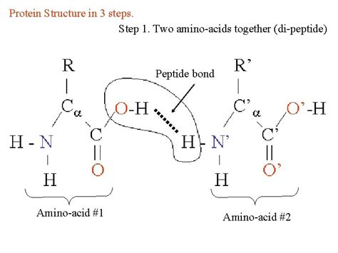 Computational methods in molecular biophysics examples of solving