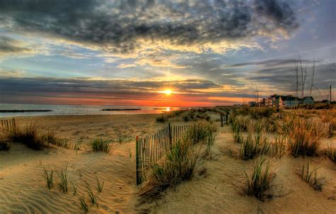 Are Dogs Allowed On North Norfolk Beaches