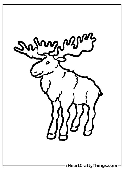 Forest Habitat Coloring Pages