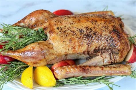 How to Roast A Goose (Christmas Goose Recipe)