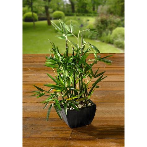 18 in. Artificial Bamboo Plant in Pot with River Stones-HD222717-P - The Home Depot