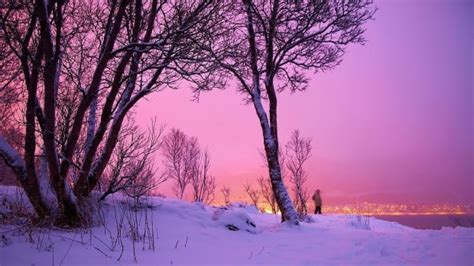 Winter-hating Canadians could learn from Norway's love of the season ...