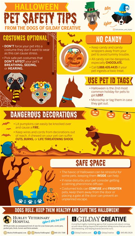 Halloween Pet Safety Infographic Designed by Gilday Creaive, Inc.