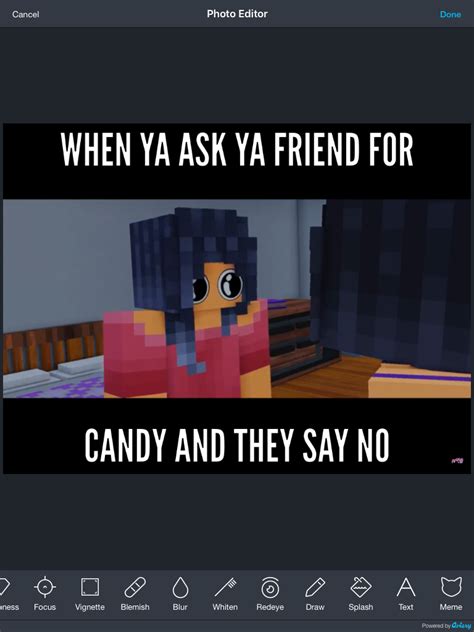 Minecraft Diaries Aphmau Aphmau Characters Aphmau Memes | Images and ...