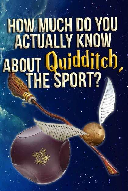 Hogwarts Quiz: Which Quidditch Position Would You Play? | Hogwarts quiz, Quidditch positions ...