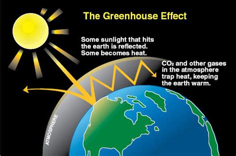 How Things Work: The Greenhouse Effect - The Tartan