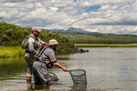 Fly Fishing Entomology Basics | The Fly Fishing Basics