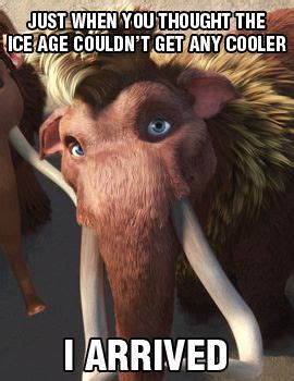 "Just when you thought the Ice Age couldn't get any cooler, I arrived." #IceAge #meme | Ice age ...