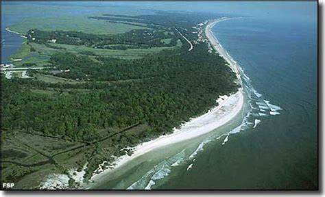 Amelia Island State Park | Florida State Parks