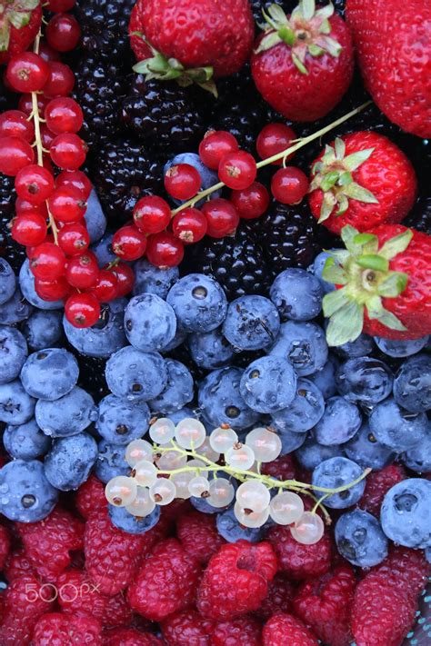 Summer berries (With images) | Summer berries, Berries, Fruits photos