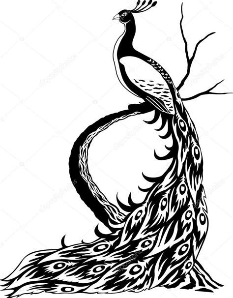 Peacock Drawing Black And White at GetDrawings | Free download