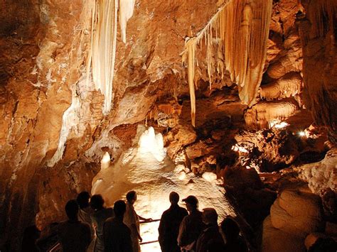 Jenolan Caves Tours | Bosfor Travel