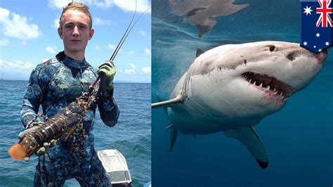 Australia shark attack: Queensland teenager Daniel Smith killed while fishing on Great Barrier ...