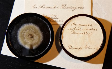 Old mold from penicillin discoverer auctioned for $14,617 | WPDE