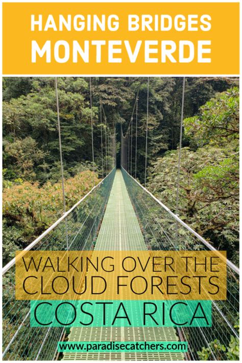 Hanging Bridges in Monteverde [2024 Guide]: Walking over the Cloud Forests – Paradise Catchers