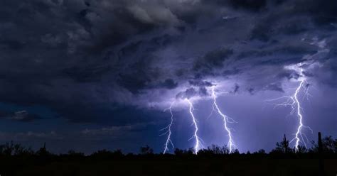 Lichtenberg figures: People share photos of the startling fern-leaf scars left from lightning ...