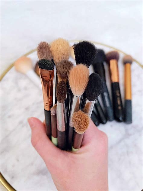 Beginner Makeup Brush Guide (The Brushes You Need) - Kindly Unspoken