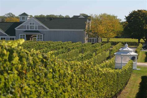 The Top 10 Wineries on Long Island