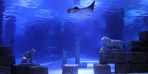 Antalya Aquarium Trip | World's Largest Tunnel Aquarium - 2019