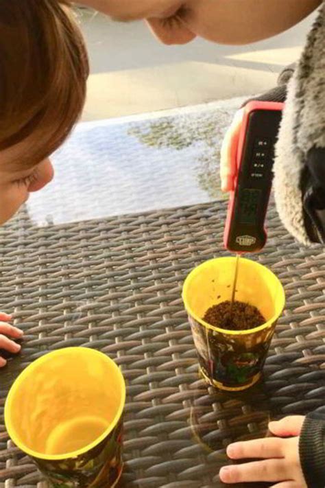 No-Prep Earth Science Experiment for Curious Kids - Hands On As We Grow®