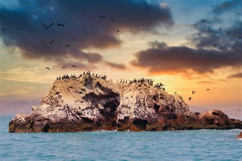 Paracas National Reserve: Ballestas Islands (Peru) | LAC Geo