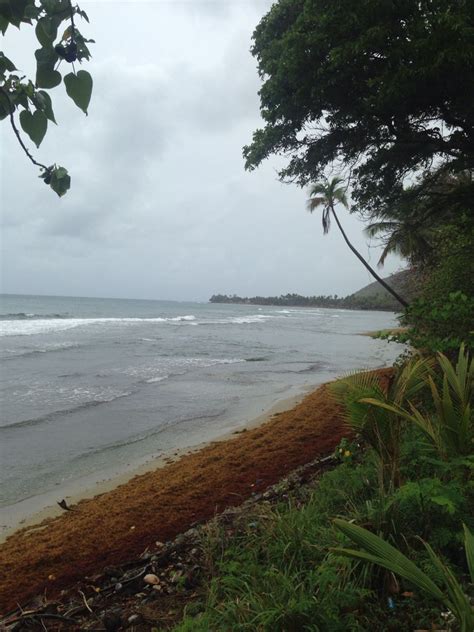 Patillas, PR | Puerto rico, Outdoor, Beach