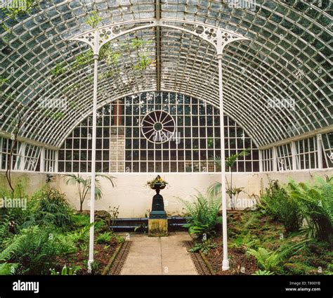 Victorian fern greenhouse, glass house interior Stock Photo - Alamy