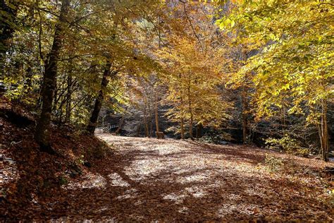 Hike the Deep Creek Trail Loop in the Smoky Mountains