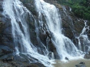 6 Gorgeous Waterfalls in Wayanad to Visit with Family and Friends!