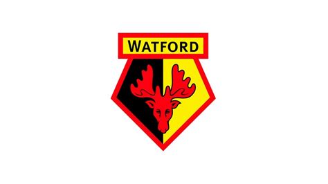 Watford Logo / The Logo Breakdown Watford Fc Design By Alva - Watford logo, watford fc logo ...