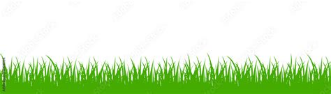 Green grass on white background - vector เวกเตอร์สต็อก | Adobe Stock