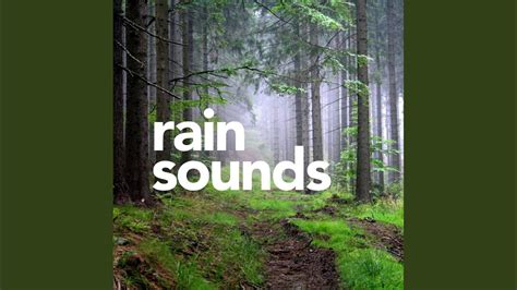 Calming Rain Sounds & Thunder - YouTube