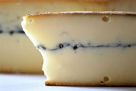 Morbier is an aromatic and surprisingly mild French cow's milk AOC cheese defined by the dark ...