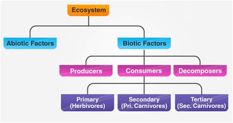 Ecosystem & Components of Ecosystem. - तरुमहिमन्