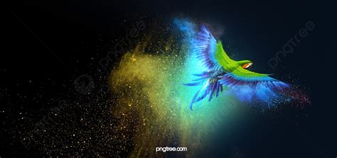 Parrot Background, Parrot, Bright, Take Background Image And Wallpaper ...