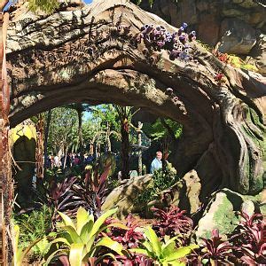 Flora - Pandora World of Avatar | The DIS Disney Discussion Forums ...