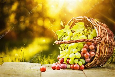 Green and red grapes — Stock Photo © -Baks- #81155806