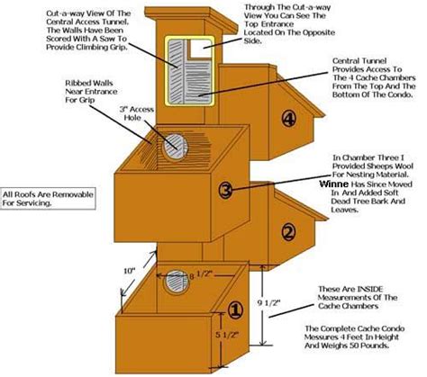 squirrel nest box plans | Squirrel home, Nesting boxes, Bird house feeder