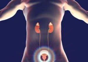 Contrast Mri Bladder in Chandigarh at best price