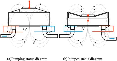 Working principle of the micropump | Download Scientific Diagram