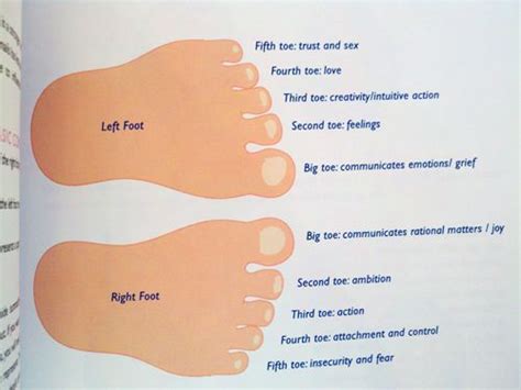 Reading the toes-chart