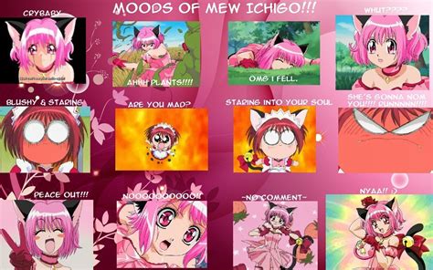 Mew Moods - Tokyo Mew Mew Fan Art (22952786) - Fanpop