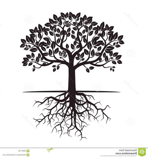 Tree Roots Vector at GetDrawings | Free download