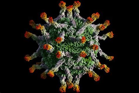 Viruses: Structure, Replication, and Diseases