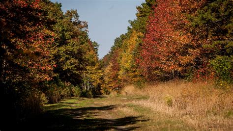 Allaire State Park in Wall shows its fall colors